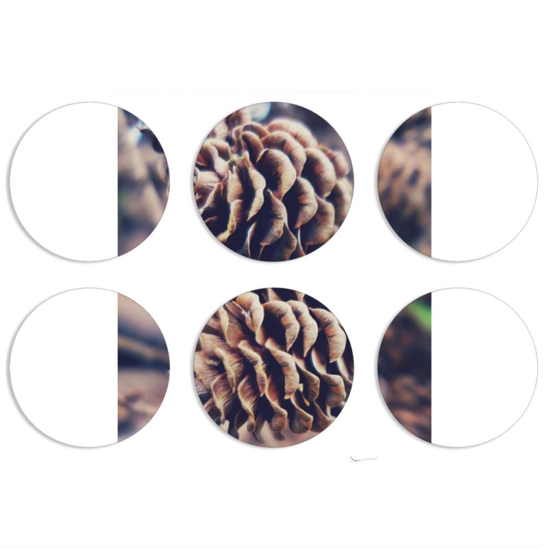 Магнитные фотопазлы круги d55 набор 6 штук 