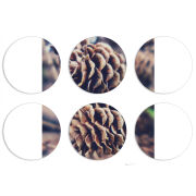 Магнитные фотопазлы круги d55 набор 6 штук 