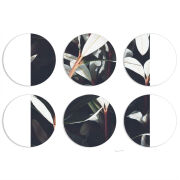 Магнитные фотопазлы круги d55 набор 6 штук 