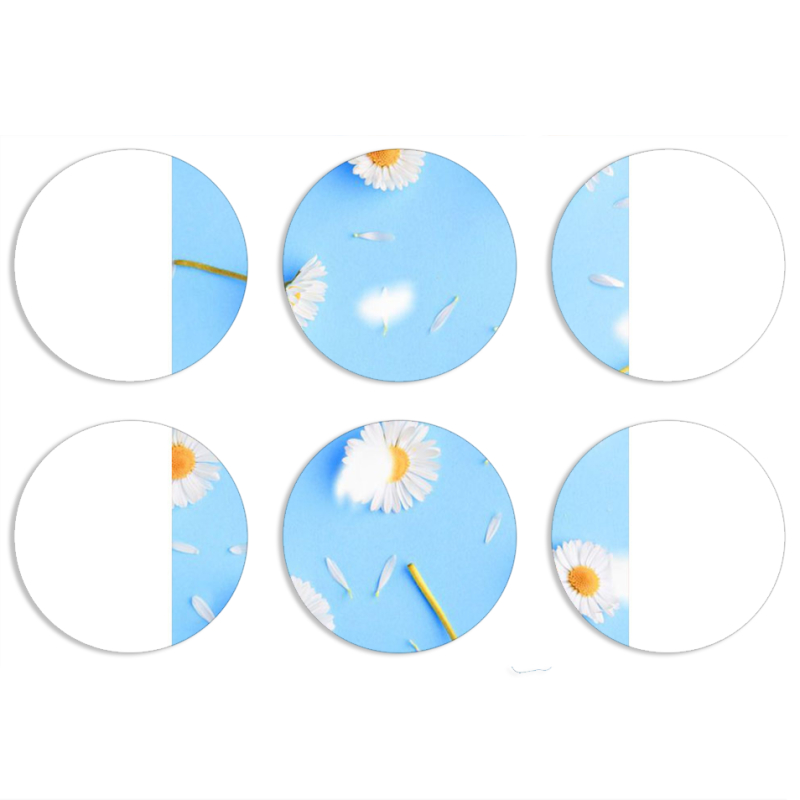 Магнитные фотопазлы круги d55 набор 6 штук 