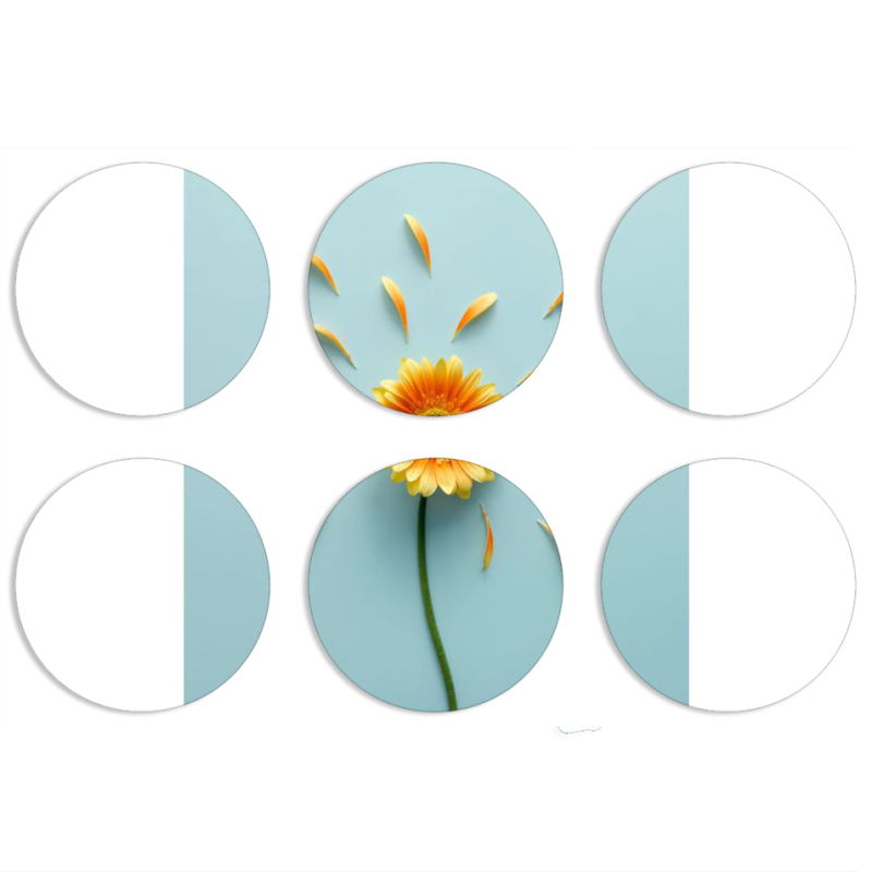 Магнитные фотопазлы круги d55 набор 6 штук 