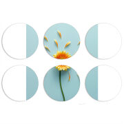 Магнитные фотопазлы круги d55 набор 6 штук 