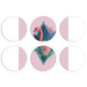 Магнитные фотопазлы круги d55 набор 6 штук 