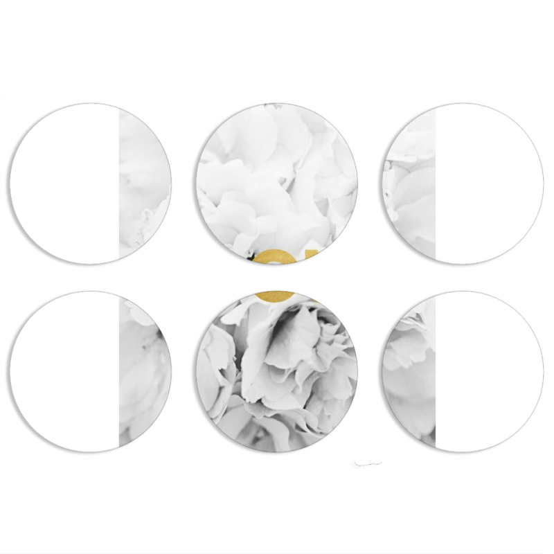 Магнитные фотопазлы круги d55 набор 6 штук 