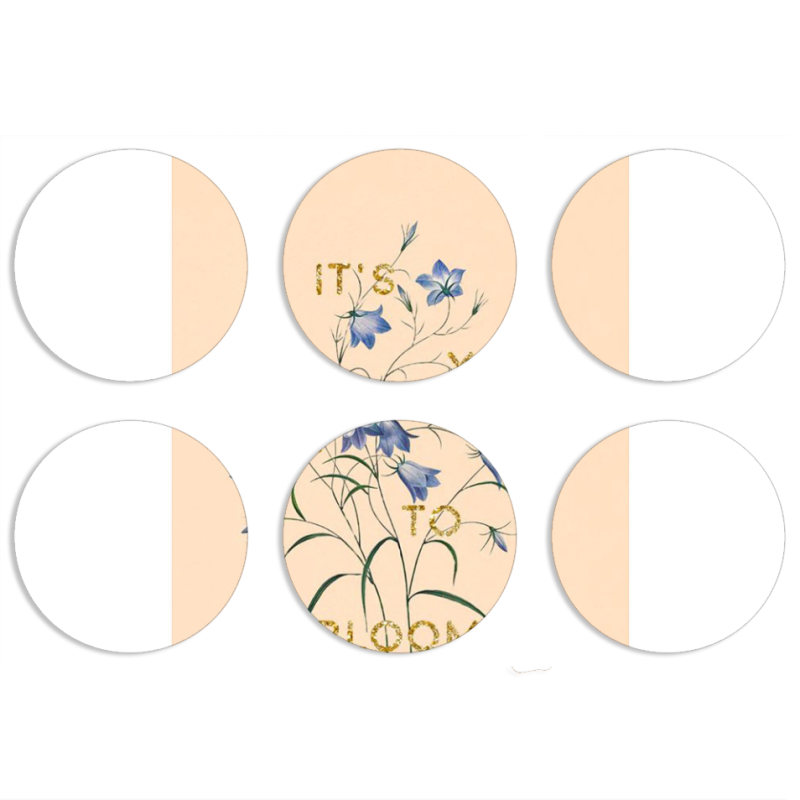 Магнитные фотопазлы круги d55 набор 6 штук 