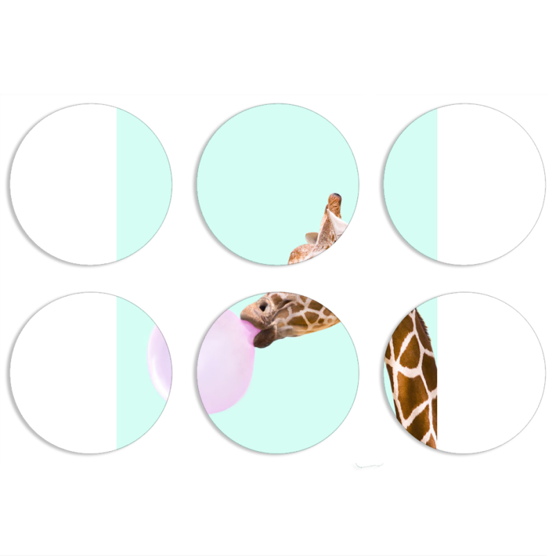 Магнитные фотопазлы круги d55 набор 6 штук 