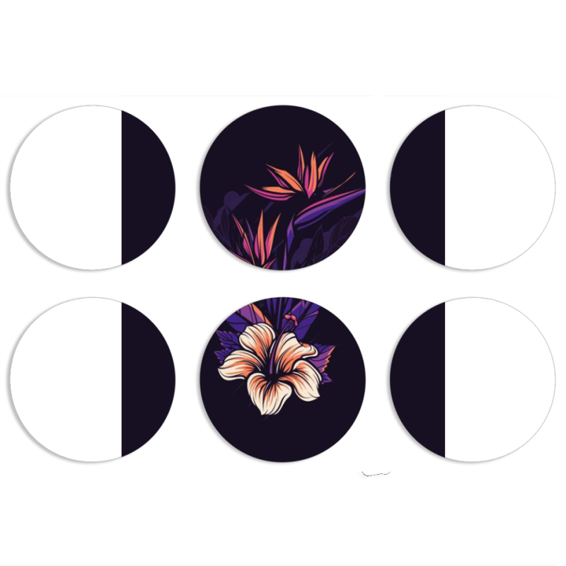 Магнитные фотопазлы круги d55 набор 6 штук 