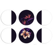 Магнитные фотопазлы круги d55 набор 6 штук 