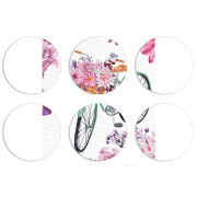 Магнитные фотопазлы круги d55 набор 6 штук 