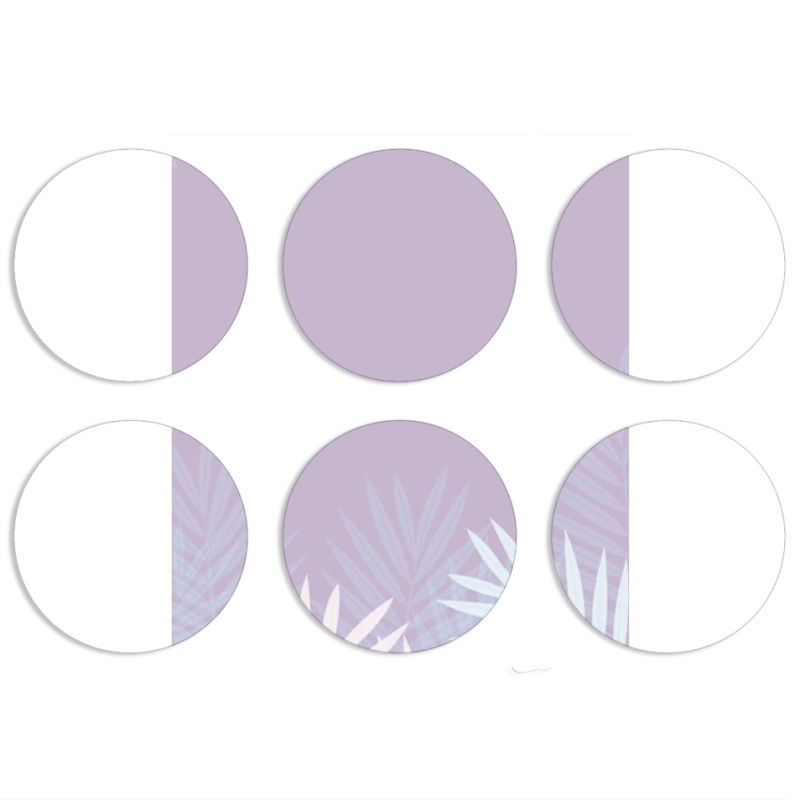 Магнитные фотопазлы круги d55 набор 6 штук 