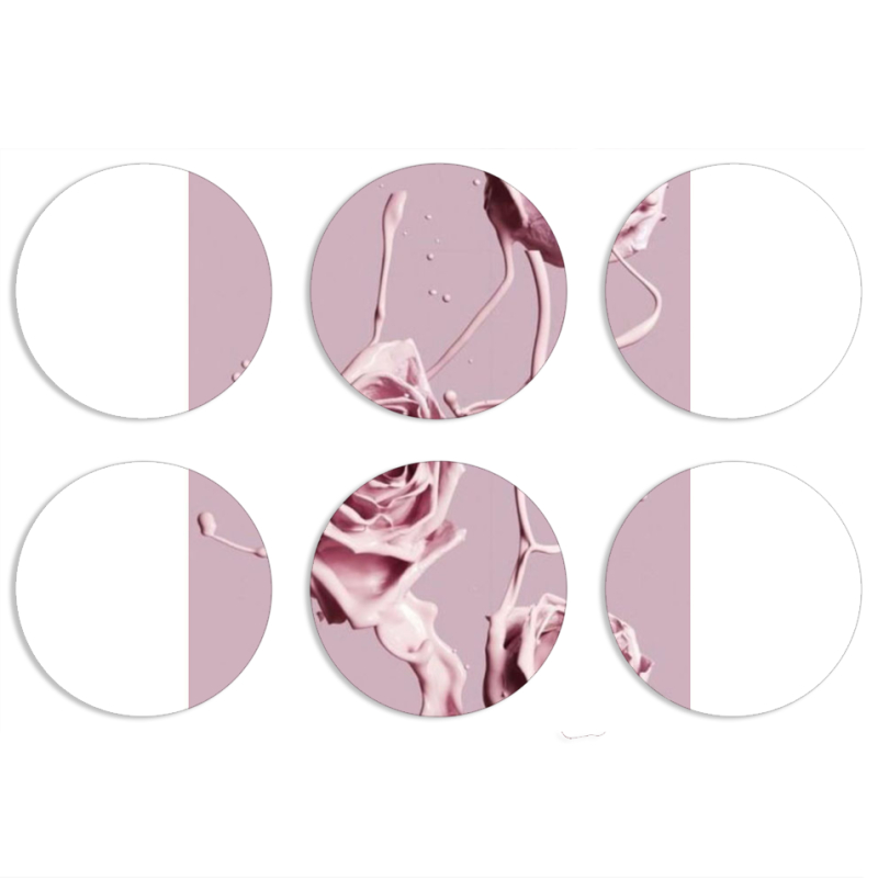 Магнитные фотопазлы круги d55 набор 6 штук 