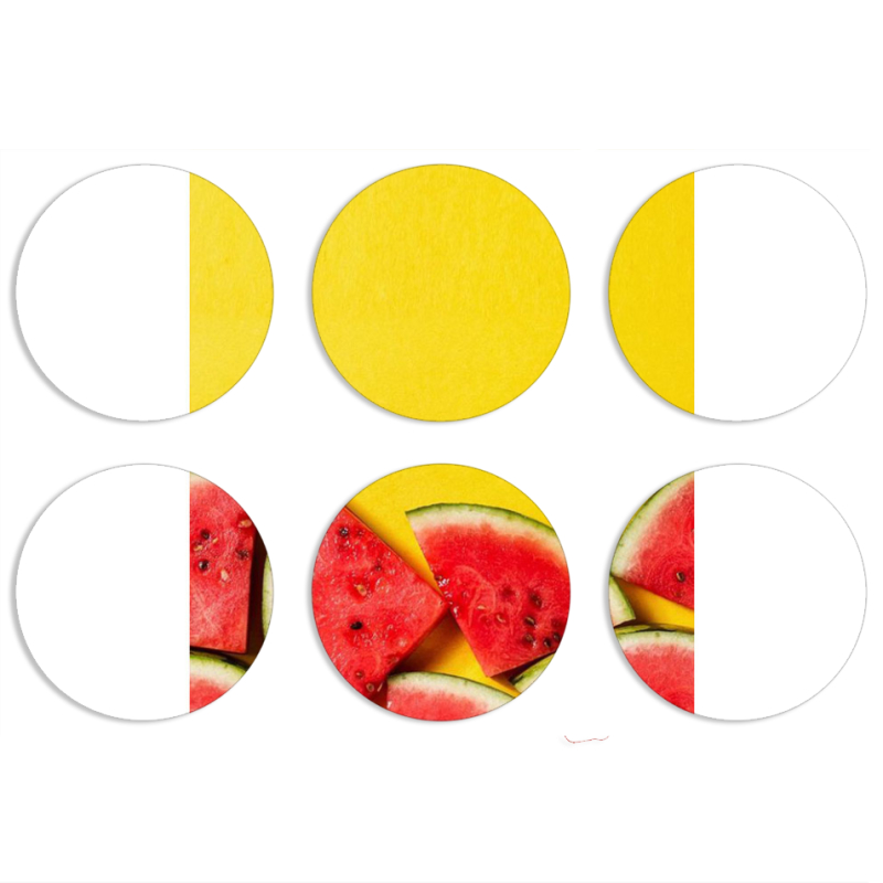 Магнитные фотопазлы круги d55 набор 6 штук 