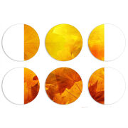 Магнитные фотопазлы круги d55 набор 6 штук 