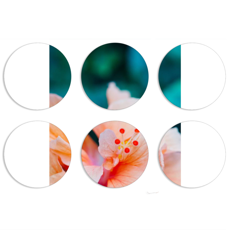Магнитные фотопазлы круги d55 набор 6 штук 