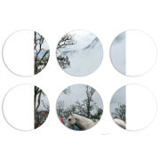 Магнитные фотопазлы круги d55 набор 6 штук 