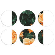 Магнитные фотопазлы круги d55 набор 6 штук 