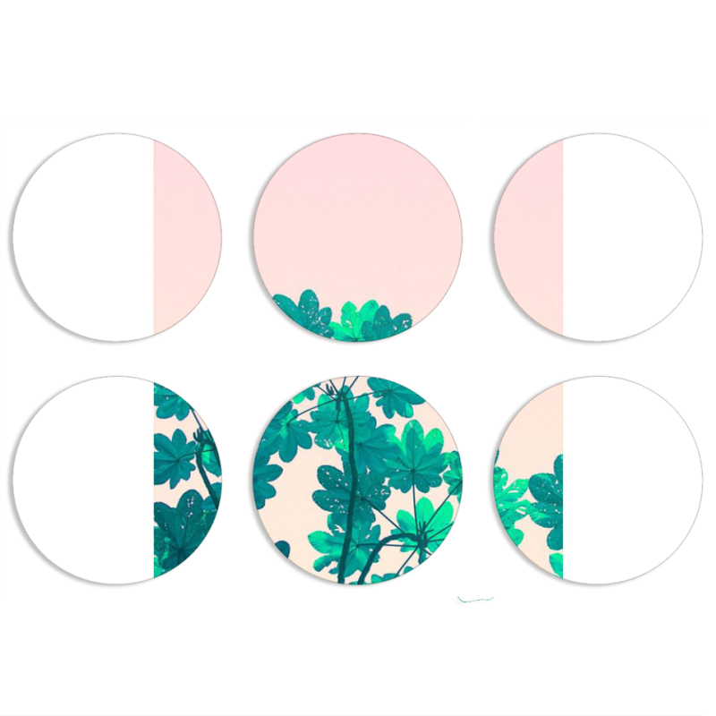 Магнитные фотопазлы круги d55 набор 6 штук 