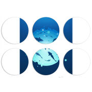 Магнитные фотопазлы круги d55 набор 6 штук 