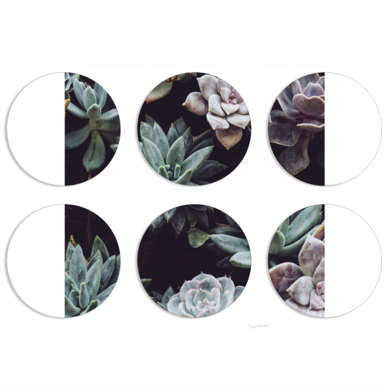 Магнитные фотопазлы круги d55 набор 6 штук 