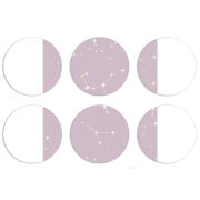 Магнитные фотопазлы круги d55 набор 6 штук 
