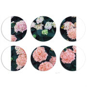 Магнитные фотопазлы круги d55 набор 6 штук 