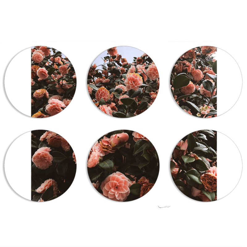 Магнитные фотопазлы круги d55 набор 6 штук 