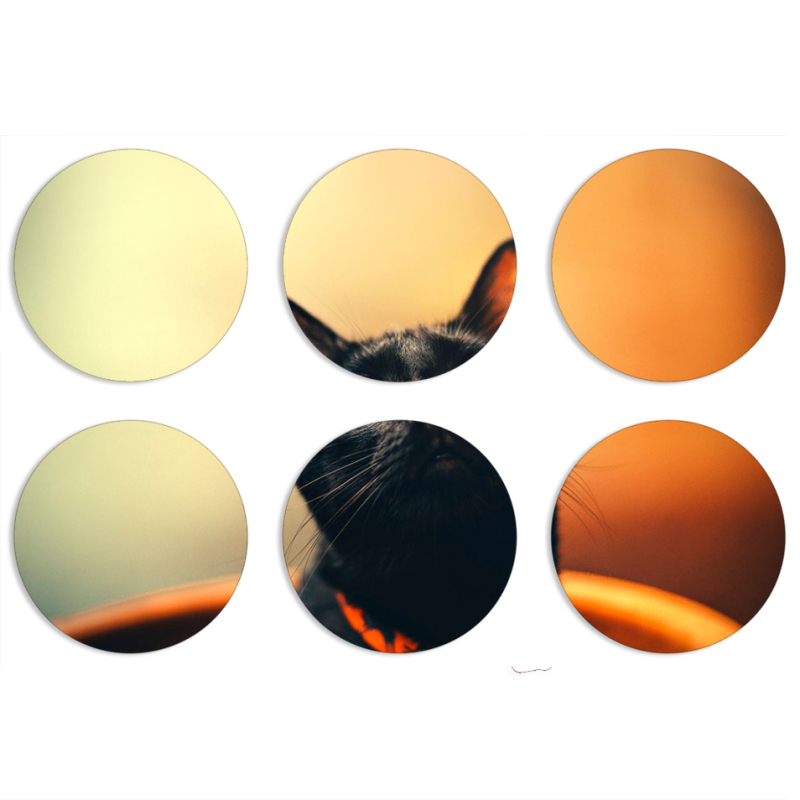 Магнитные фотопазлы круги d55 набор 6 штук 