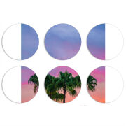 Магнитные фотопазлы круги d55 набор 6 штук 