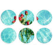 Магнитные фотопазлы круги d55 набор 6 штук 