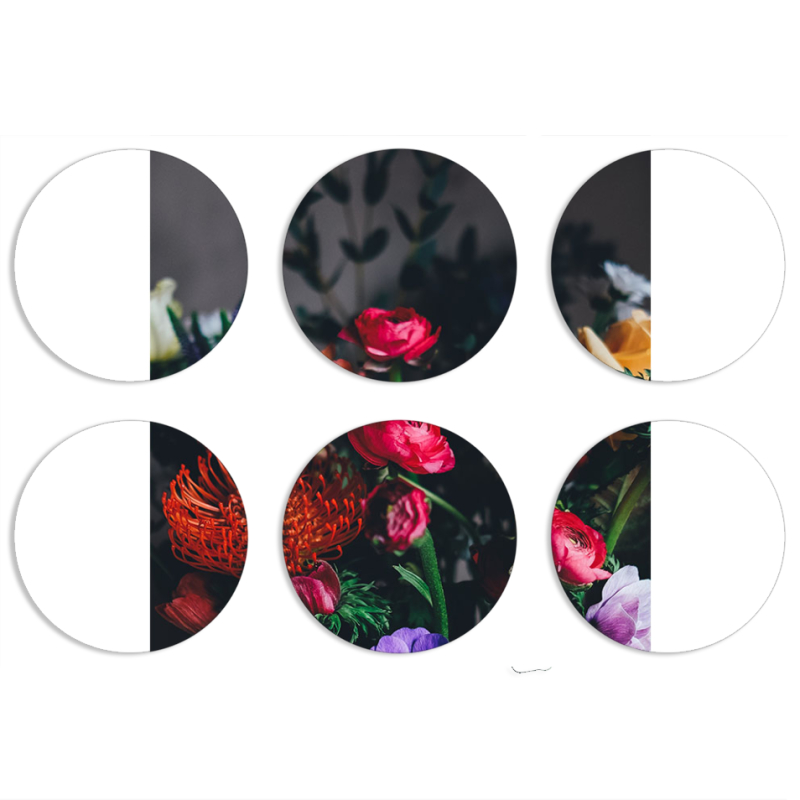Магнитные фотопазлы круги d55 набор 6 штук 