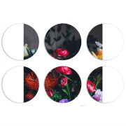 Магнитные фотопазлы круги d55 набор 6 штук 