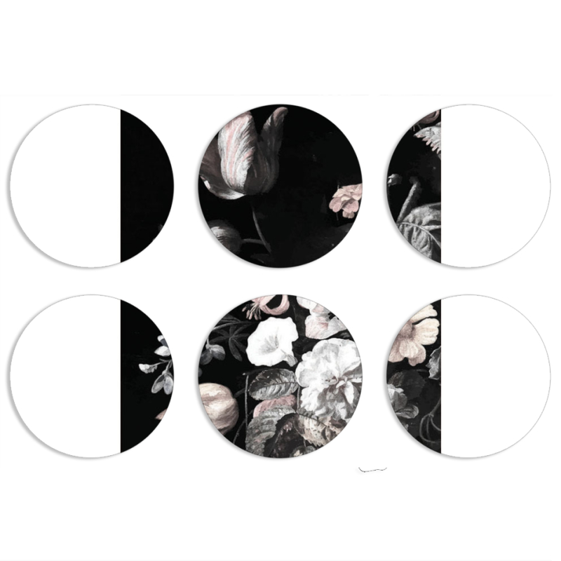 Магнитные фотопазлы круги d55 набор 6 штук 