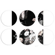 Магнитные фотопазлы круги d55 набор 6 штук 