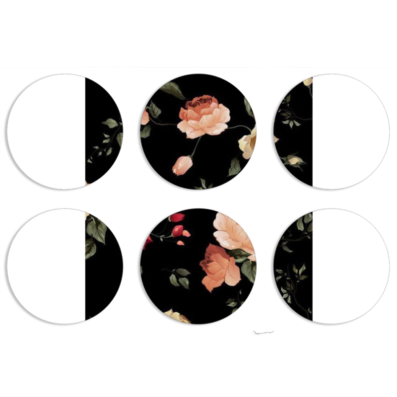 Магнитные фотопазлы круги d55 набор 6 штук 