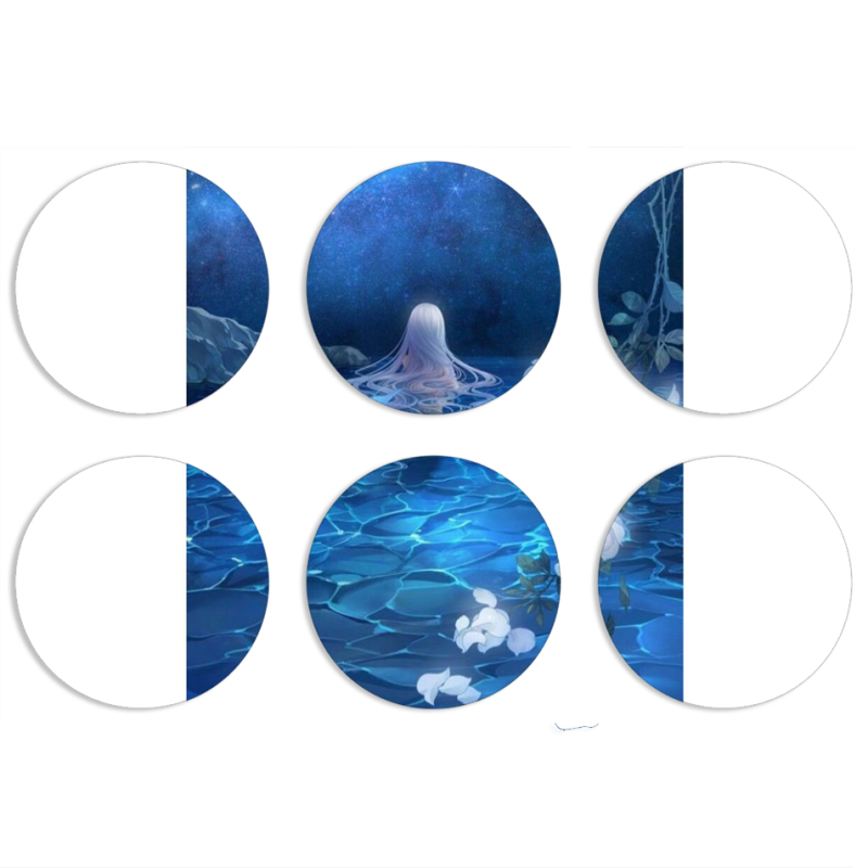 Магнитные фотопазлы круги d55 набор 6 штук 