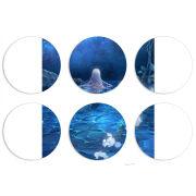 Магнитные фотопазлы круги d55 набор 6 штук 