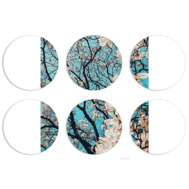 Магнитные фотопазлы круги d55 набор 6 штук 