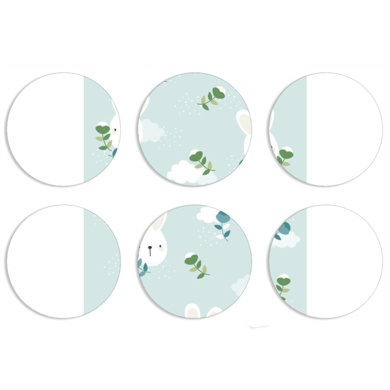 Магнитные фотопазлы круги d55 набор 6 штук 