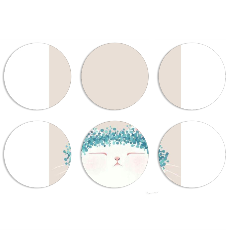 Магнитные фотопазлы круги d55 набор 6 штук 