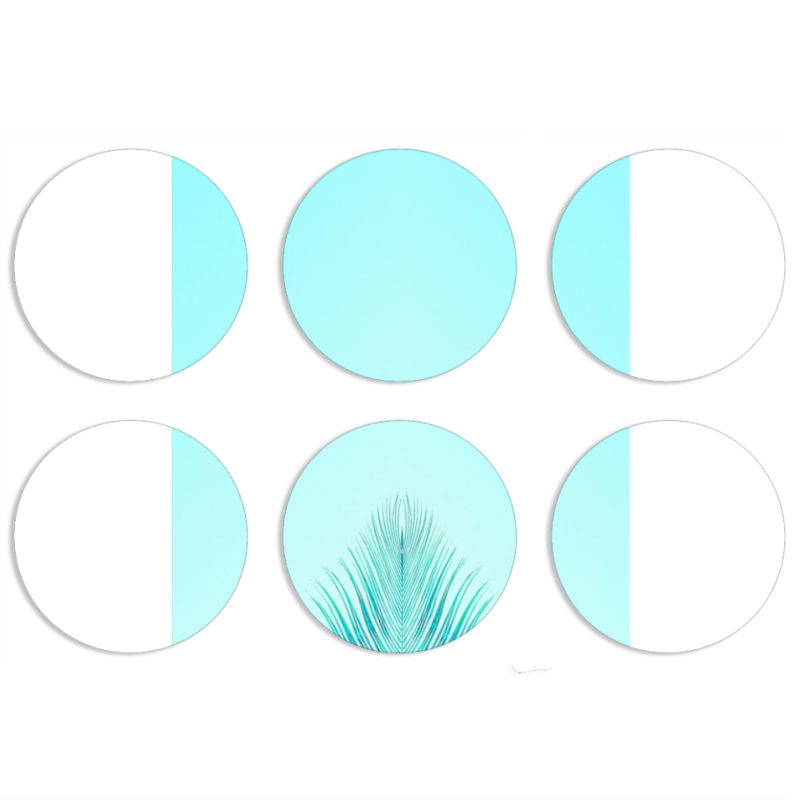 Магнитные фотопазлы круги d55 набор 6 штук 