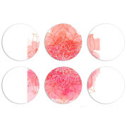 Магнитные фотопазлы круги d55 набор 6 штук 