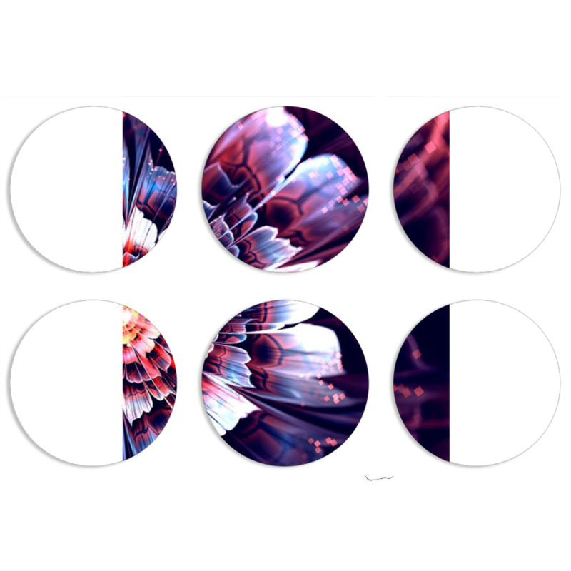 Магнитные фотопазлы круги d55 набор 6 штук 