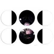 Магнитные фотопазлы круги d55 набор 6 штук 