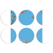 Магнитные фотопазлы круги d55 набор 6 штук 