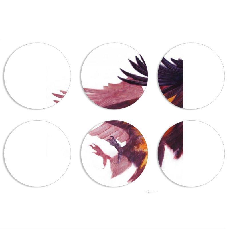 Магнитные фотопазлы круги d55 набор 6 штук 