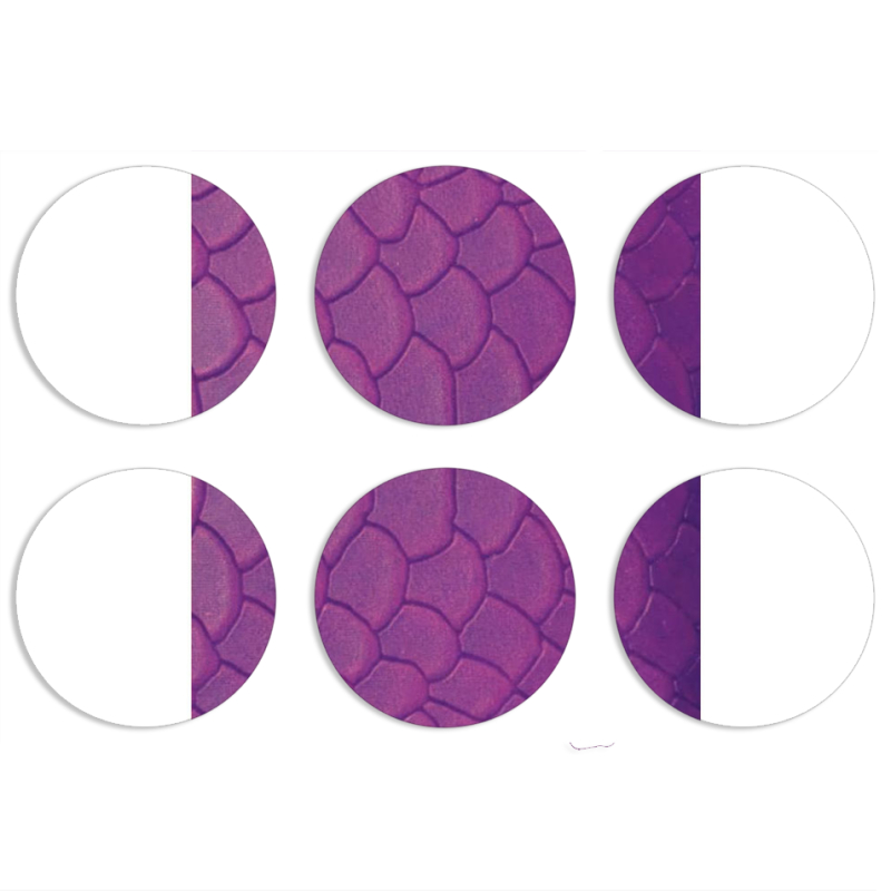 Магнитные фотопазлы круги d55 набор 6 штук 