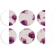 Магнитные фотопазлы круги d55 набор 6 штук 