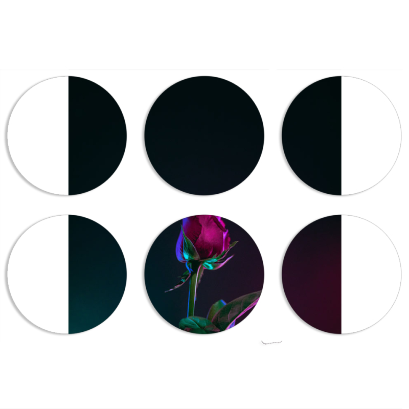 Магнитные фотопазлы круги d55 набор 6 штук 