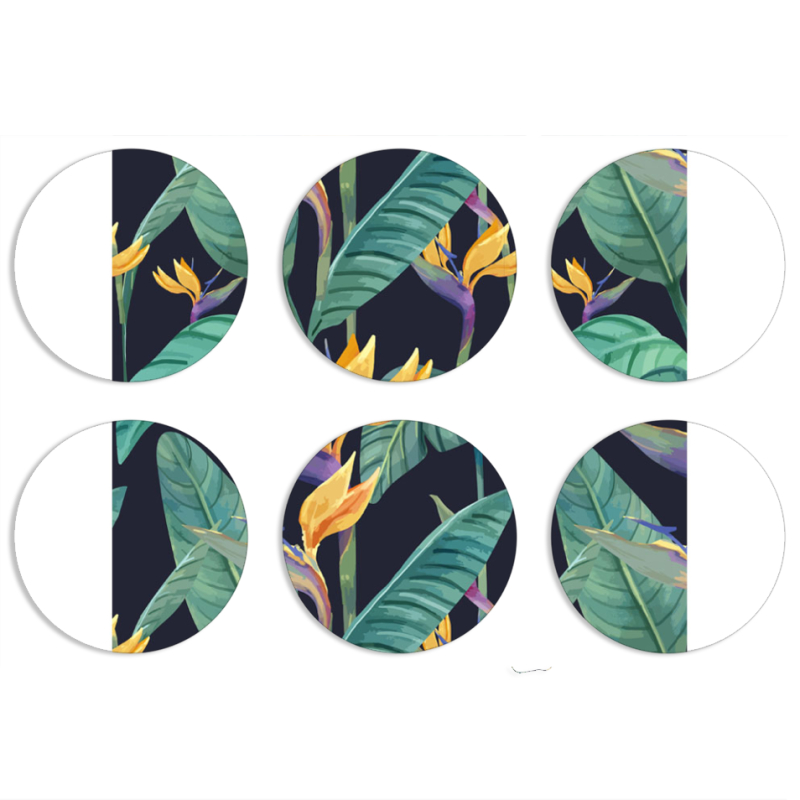 Магнитные фотопазлы круги d55 набор 6 штук 