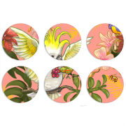 Магнитные фотопазлы круги d55 набор 6 штук 